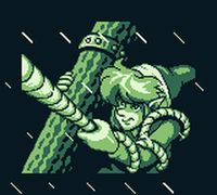 une photo d'Ã©cran de The Legend of Zelda - Link s Awakening sur Nintendo Game Boy